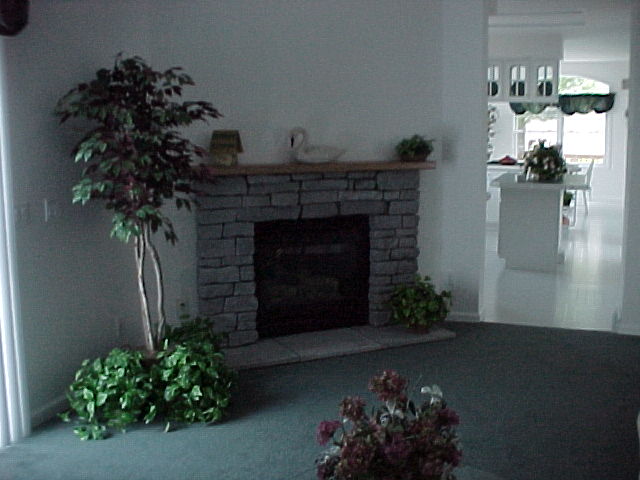 Patriot Two Story Family Room Photo 1