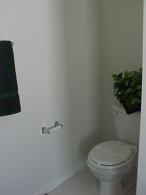 Patriot Two Story Master Bathroom Photo 5