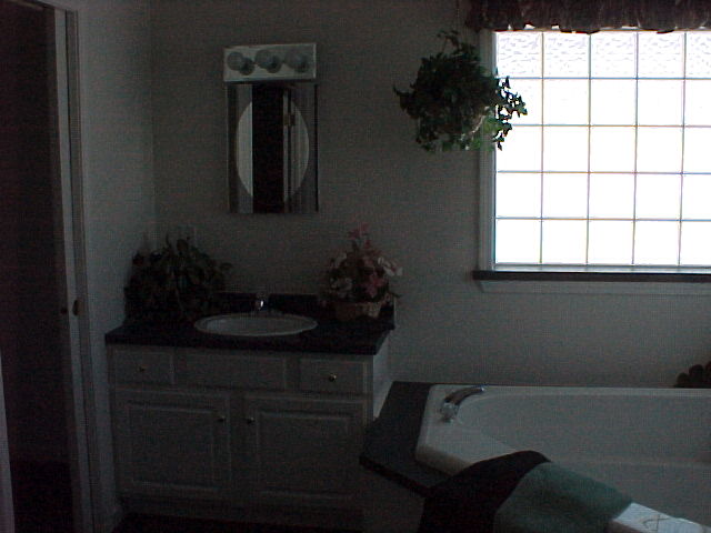 Patriot Two Story Master Bathroom Photo 4